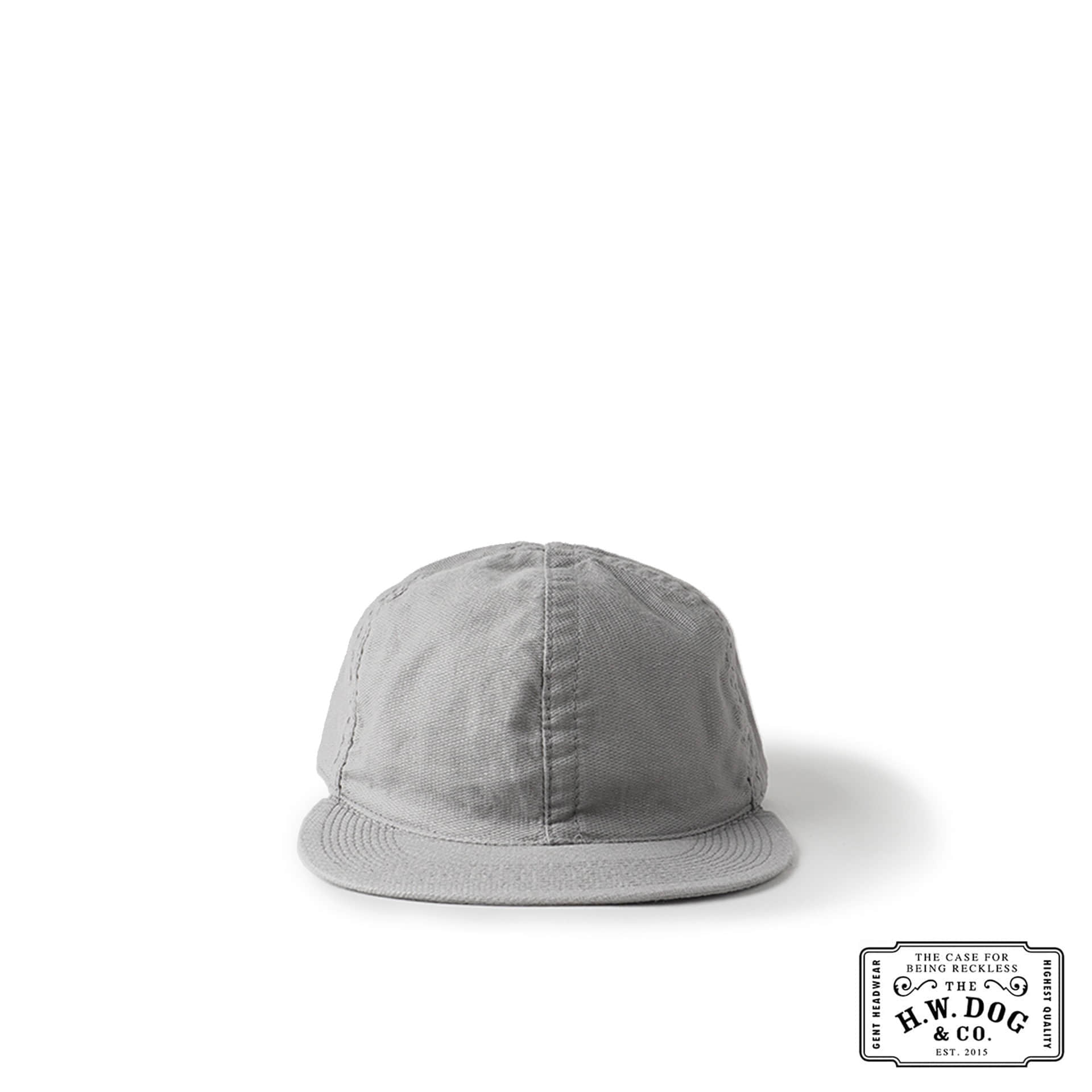 PLANE 6P CAP (Gray)